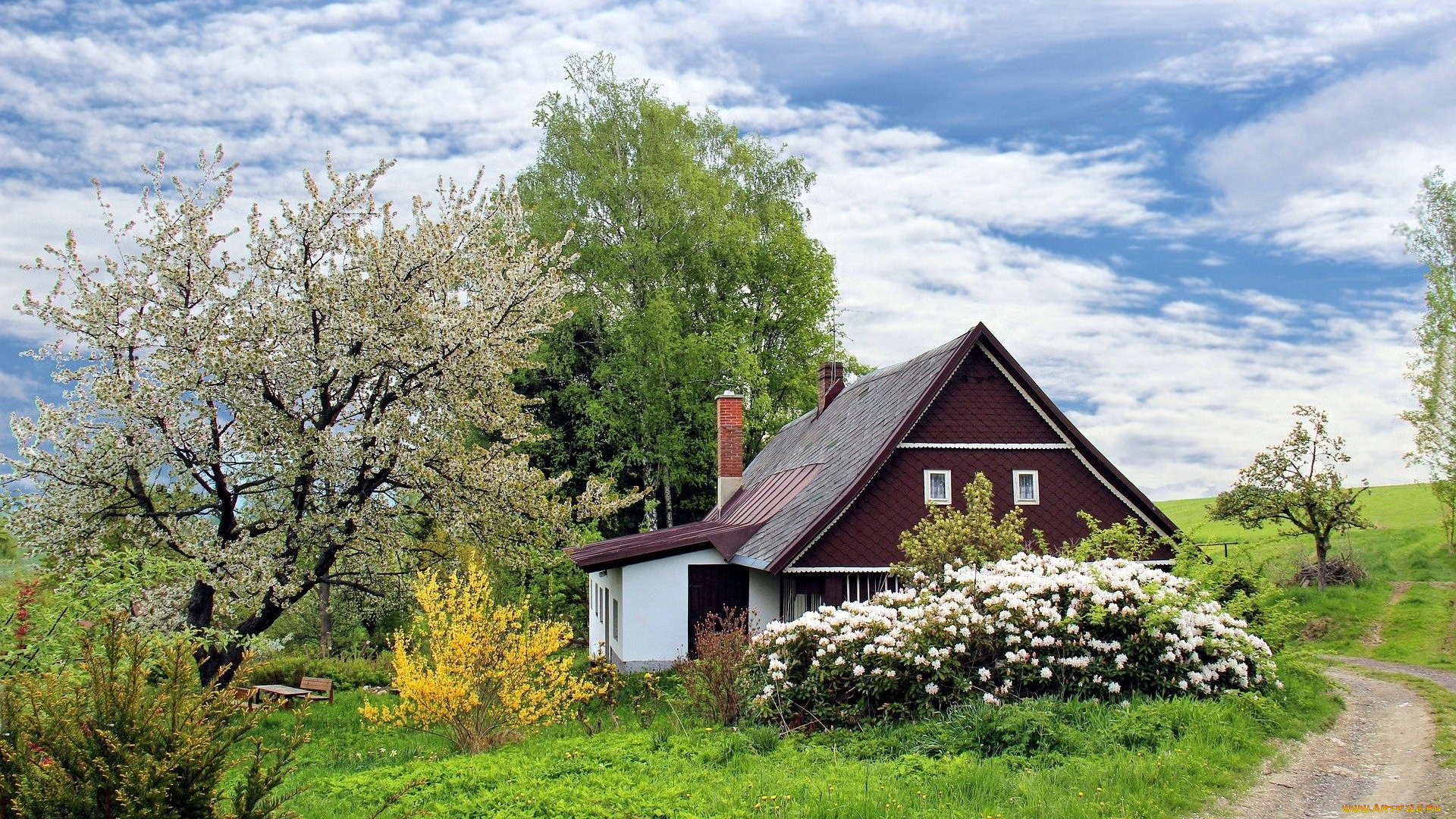 Дом в деревне весной фото
